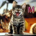 miafa